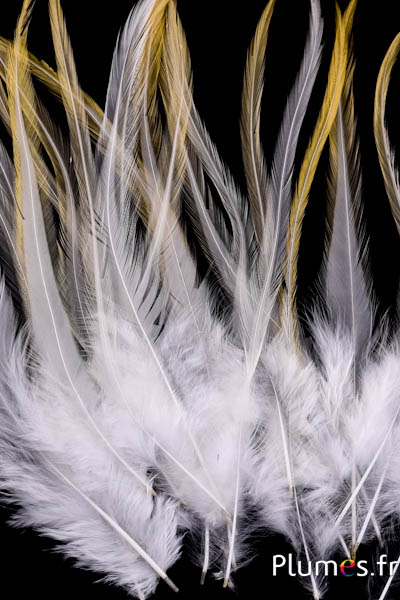 Coq Léon - 20-25 cm - crème naturel